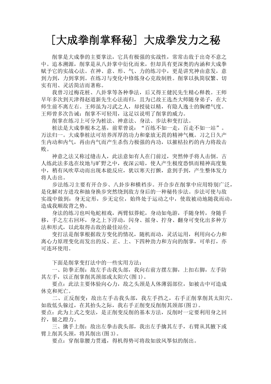 2023年大成拳削掌释秘 大成拳发力之秘.doc_第1页