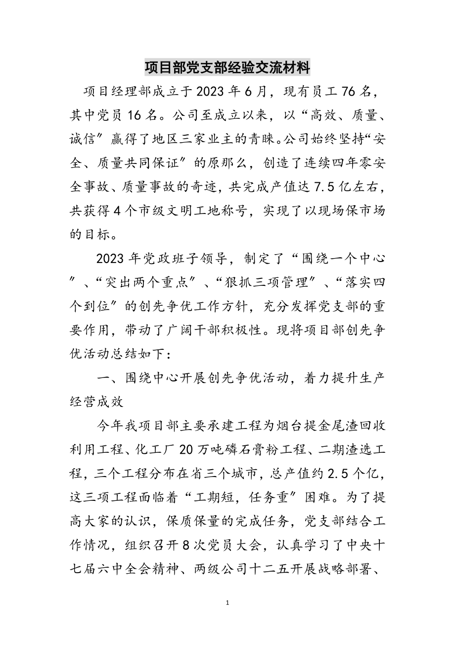 2023年项目部党支部经验交流材料范文.doc_第1页