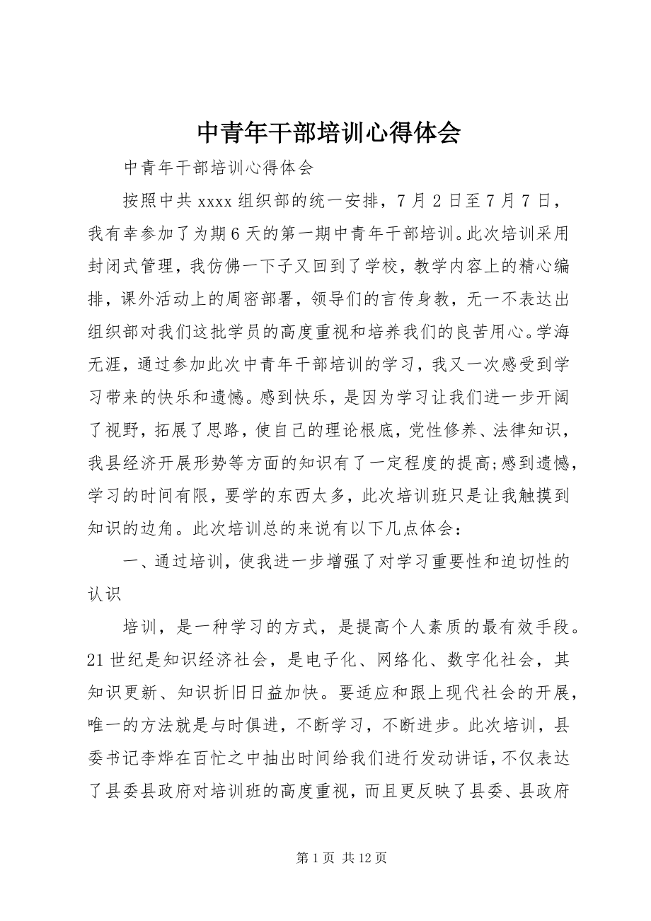 2023年中青年干部培训心得体会.docx_第1页