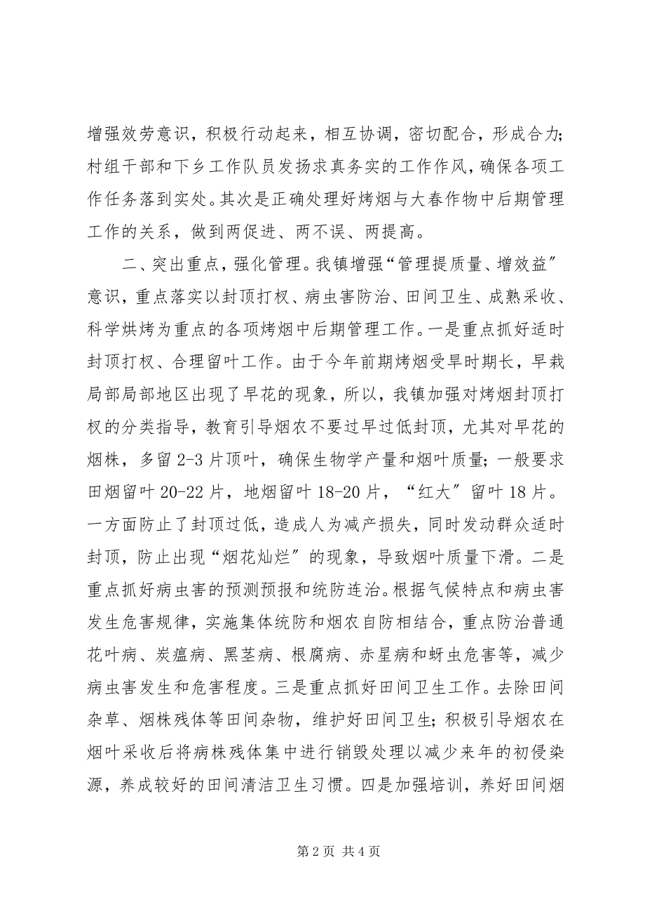 2023年乡镇烤烟中后期管理工作情况汇报.docx_第2页