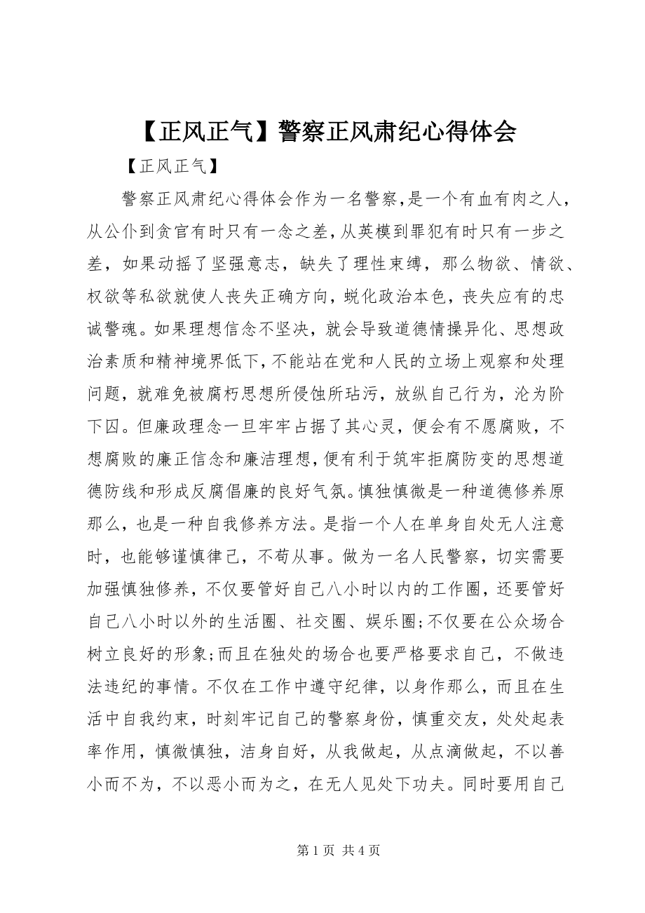 2023年正风正气警察正风肃纪心得体会.docx_第1页