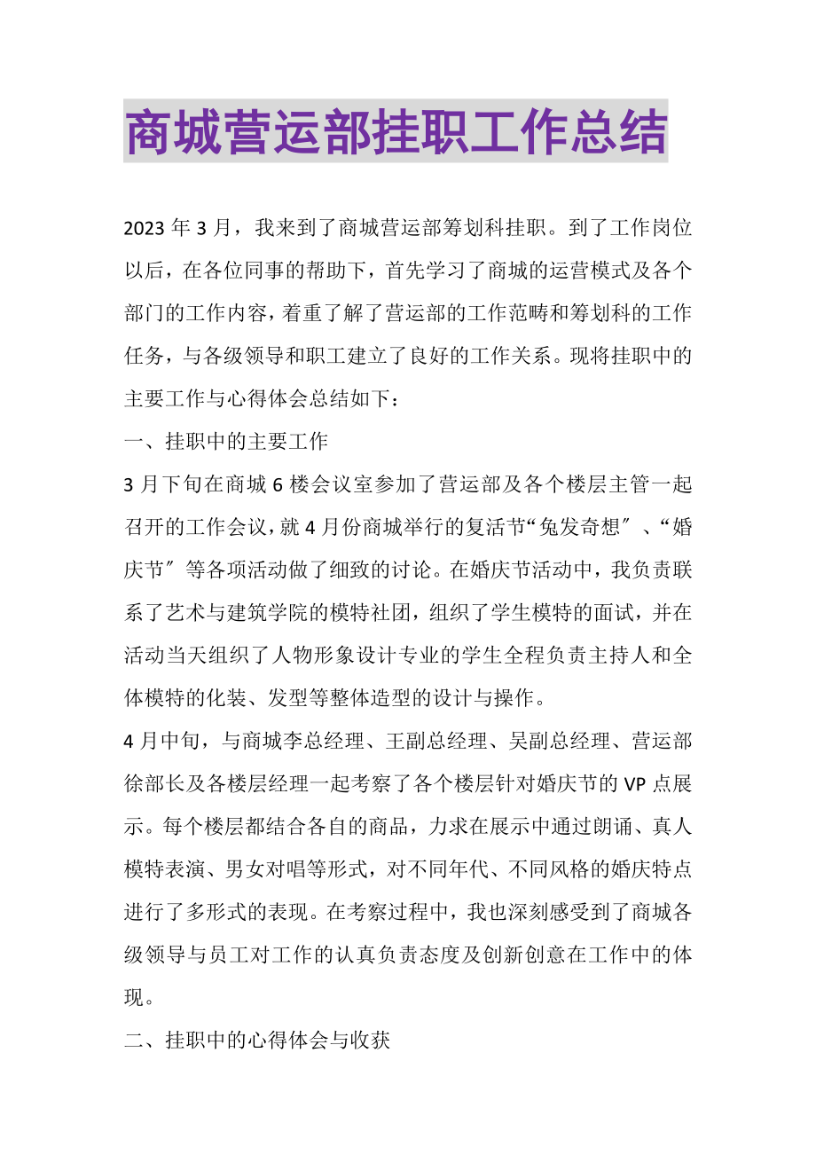 2023年商城营运部挂职工作总结.doc_第1页