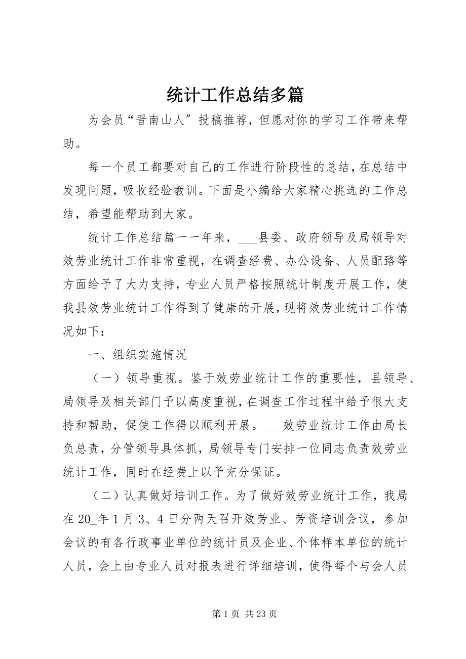 2023年统计工作总结多篇.docx_第1页