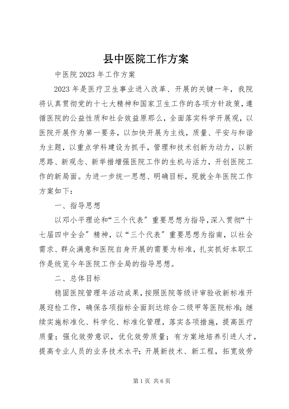 2023年县中医院工作计划.docx_第1页