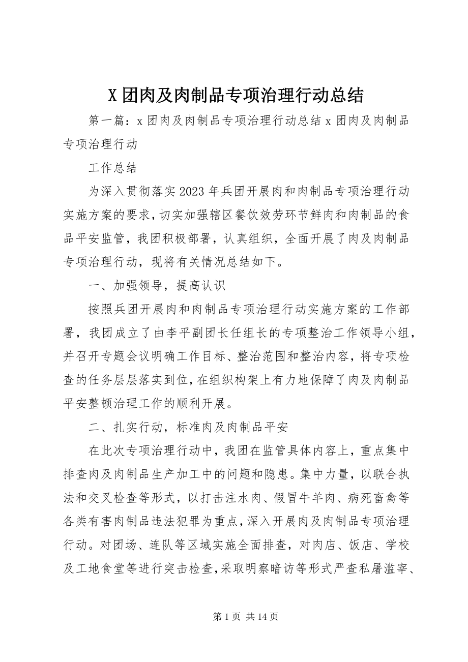 2023年X团肉及肉制品专项治理行动总结新编.docx_第1页