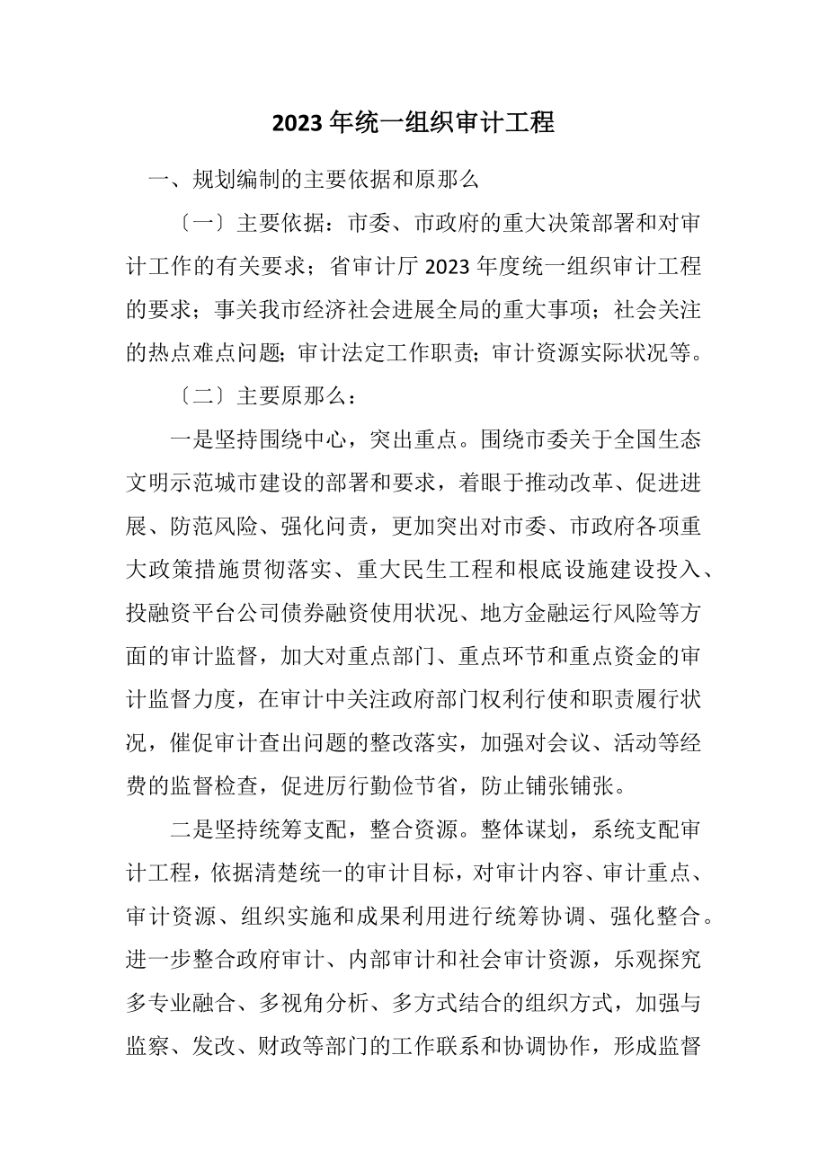 2023年统一组织审计项目计划.docx_第1页