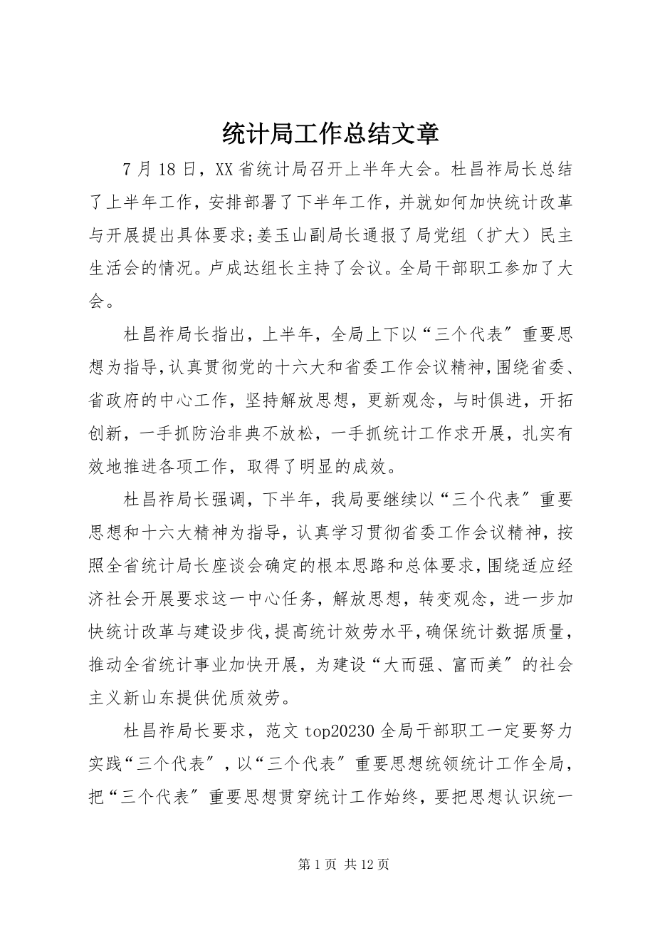 2023年统计局工作总结文章.docx_第1页