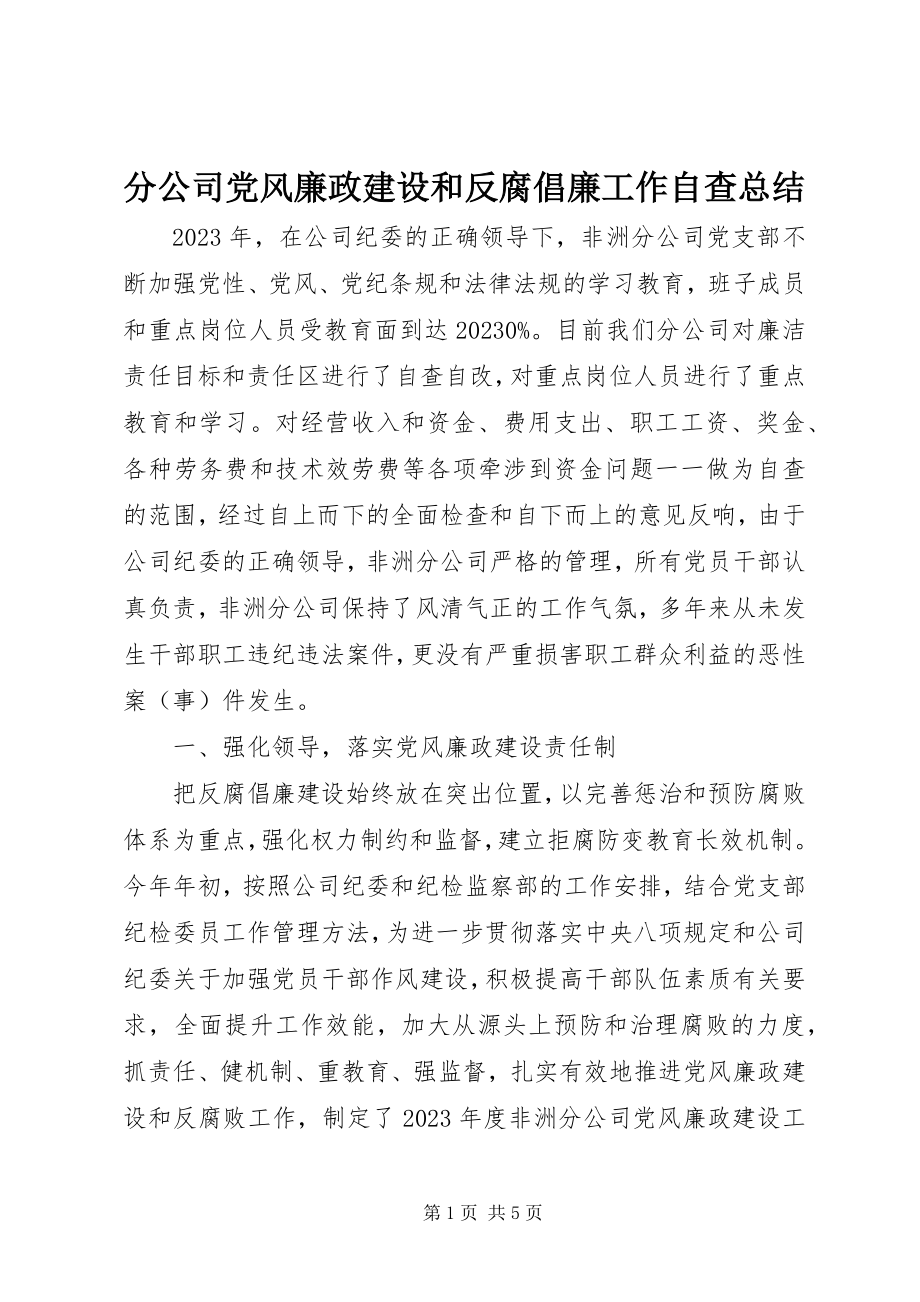 2023年分公司党风廉政建设和反腐倡廉工作自查总结.docx_第1页