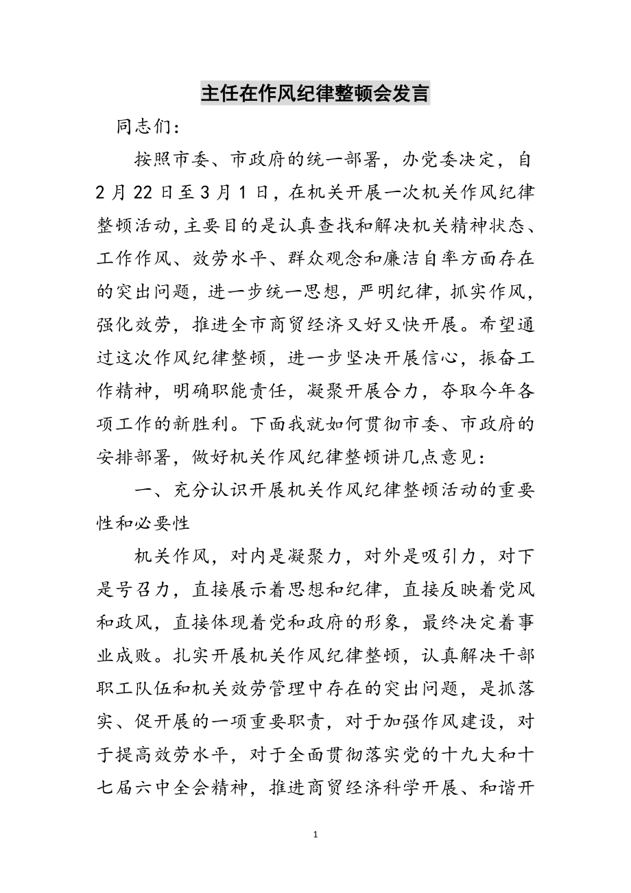 2023年主任在作风纪律整顿会发言范文.doc_第1页