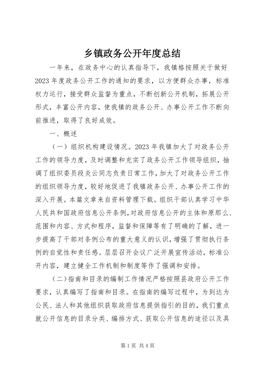 2023年乡镇政务公开年度总结.docx_第1页