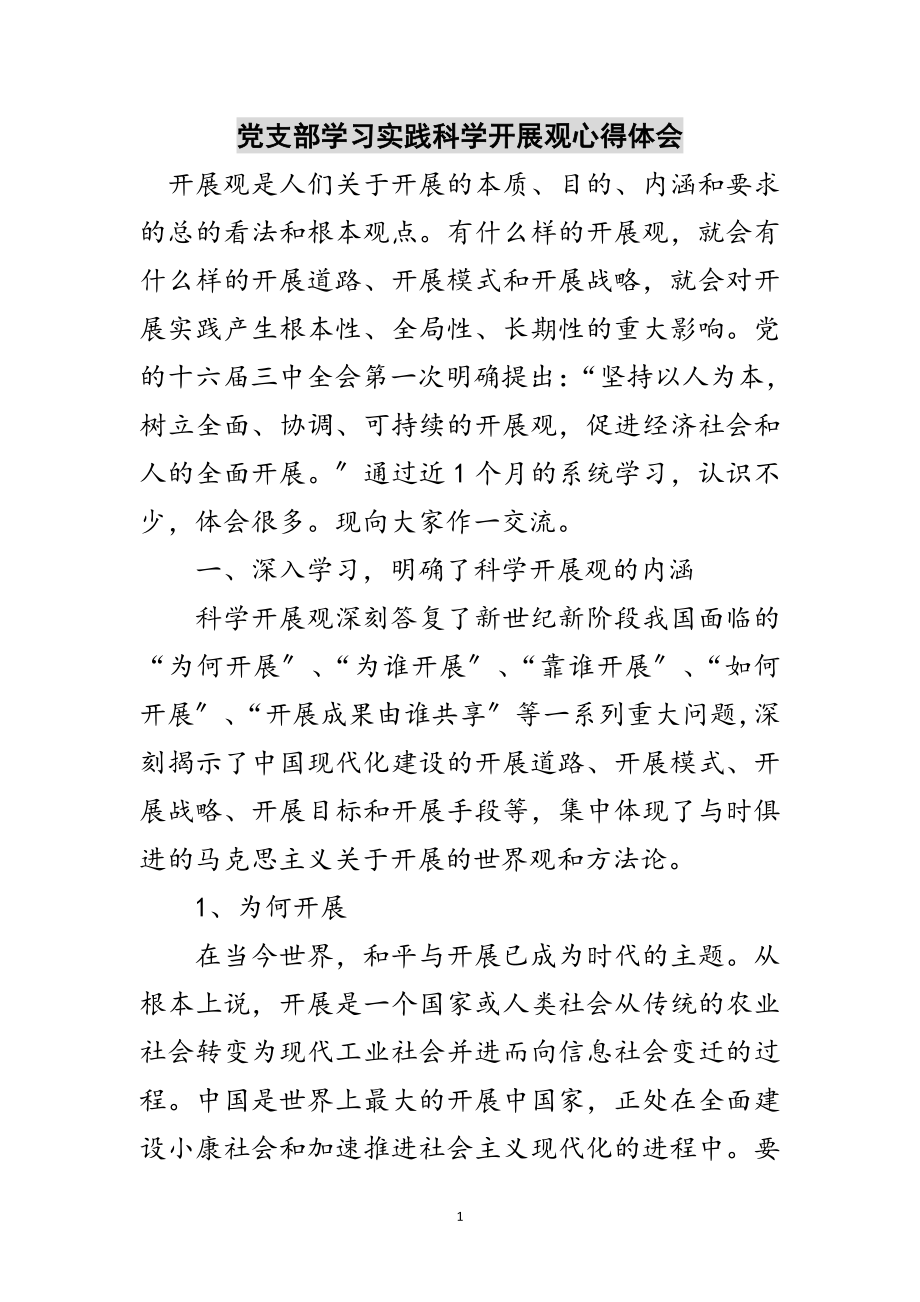 2023年党支部学习实践科学发展观心得体会范文.doc_第1页