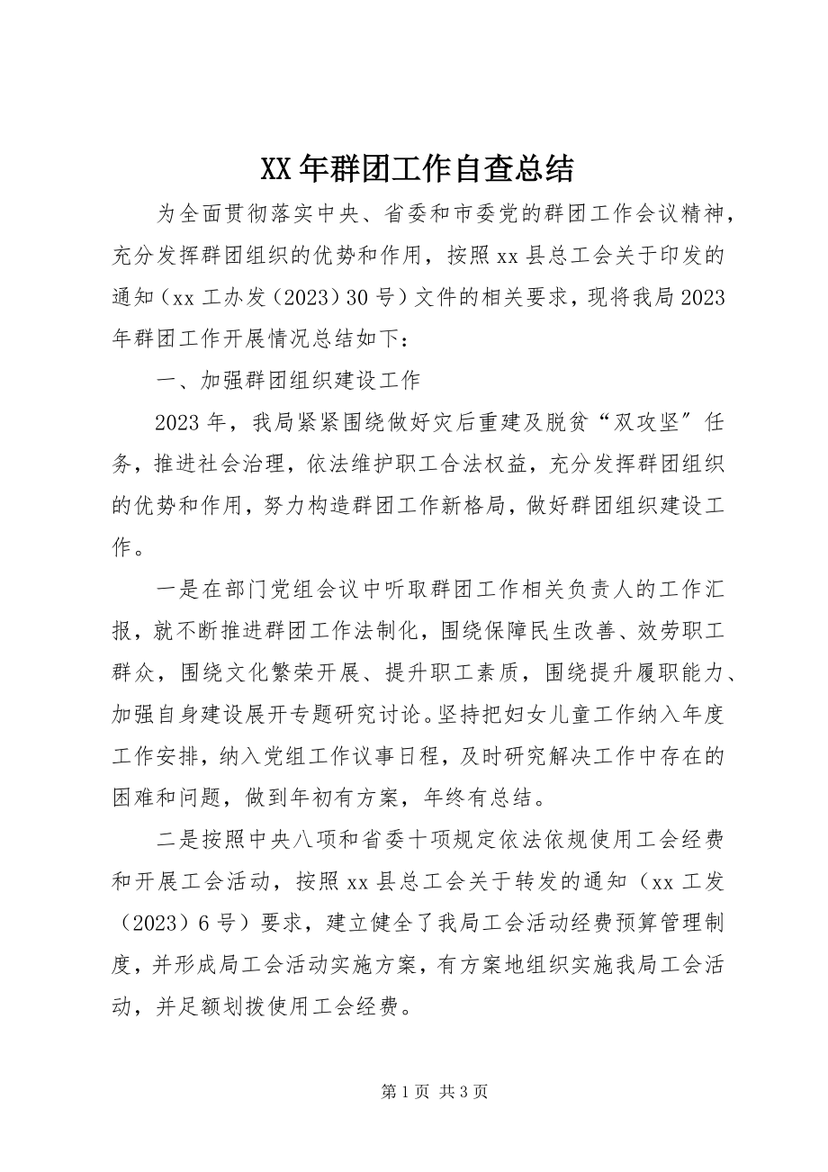 2023年群团工作自查总结.docx_第1页