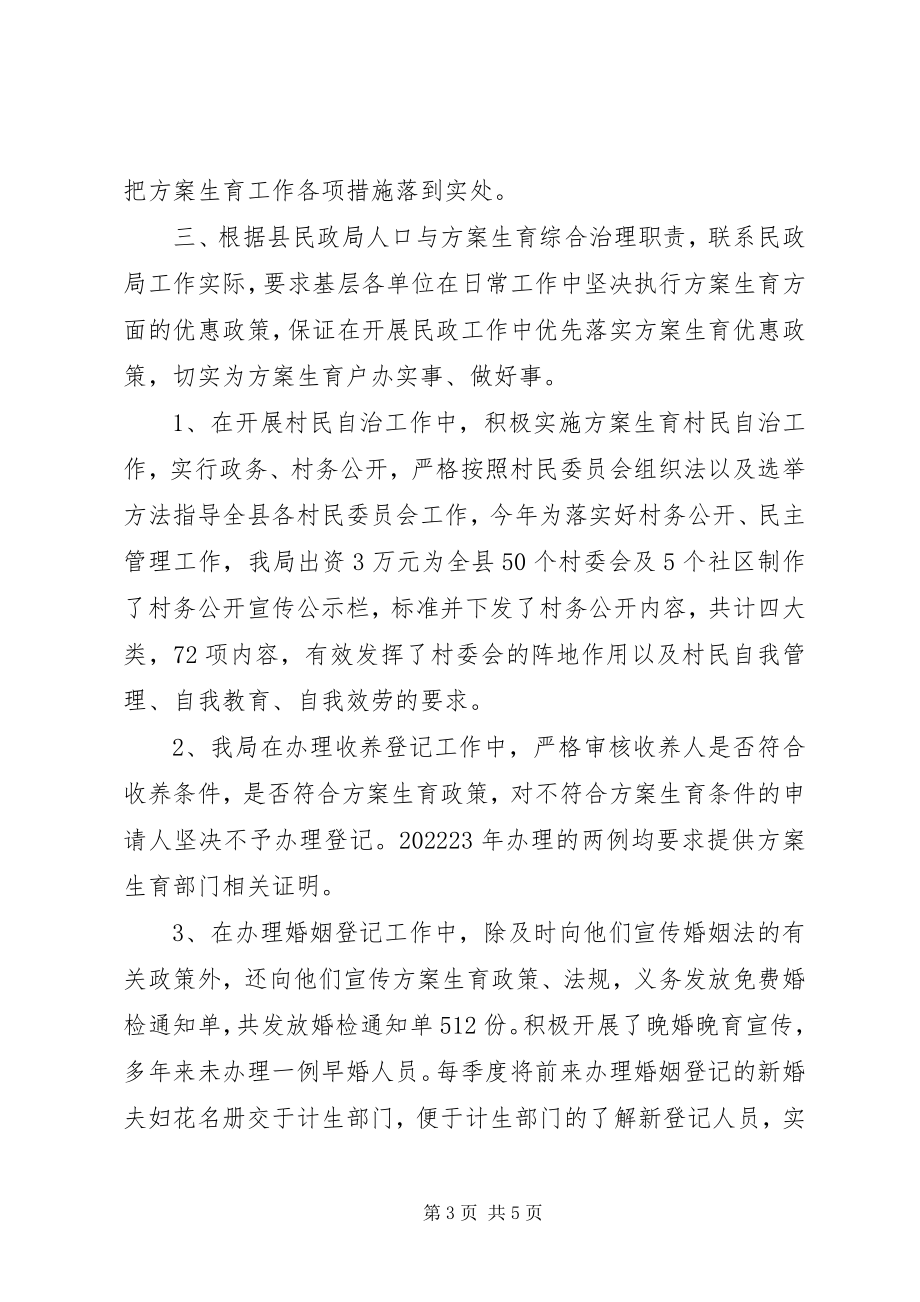 2023年民政局人口计划生育综合治理汇报材料.docx_第3页