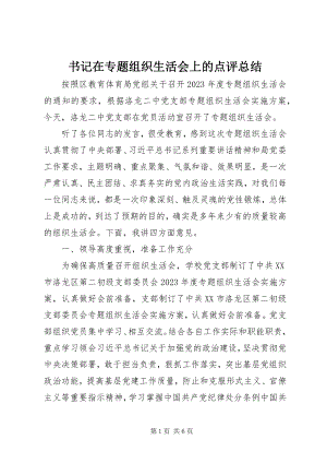 2023年书记在专题组织生活会上的点评总结.docx