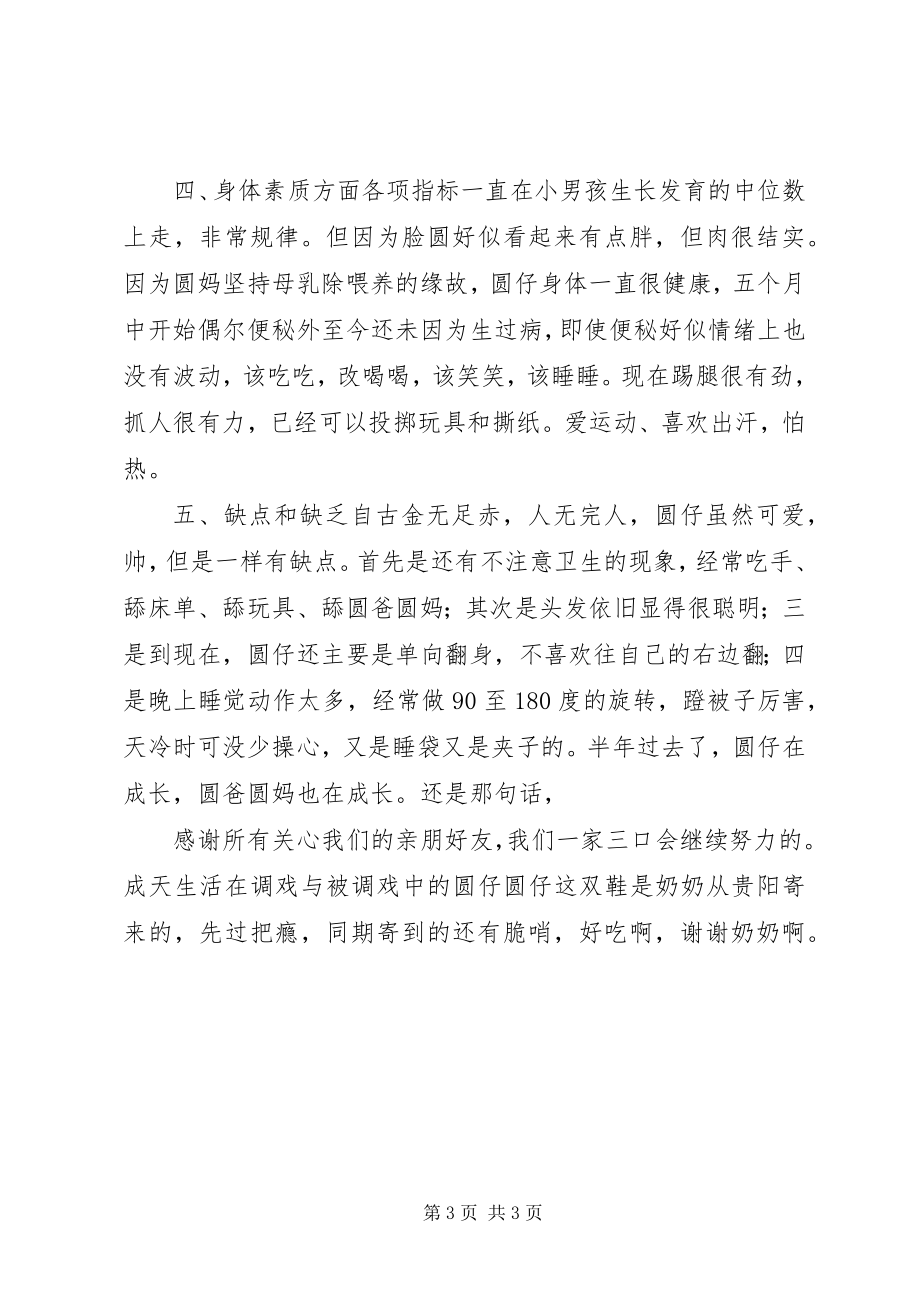 2023年圆仔的半年工作总结半年工作总结.docx_第3页