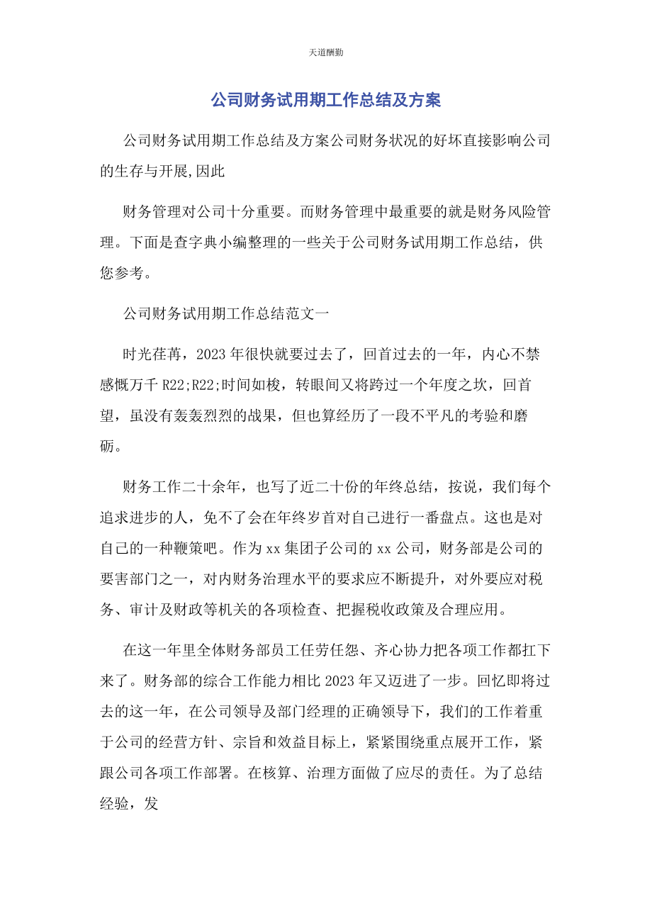 2023年公司财务试用期工作总结及计划.docx_第1页