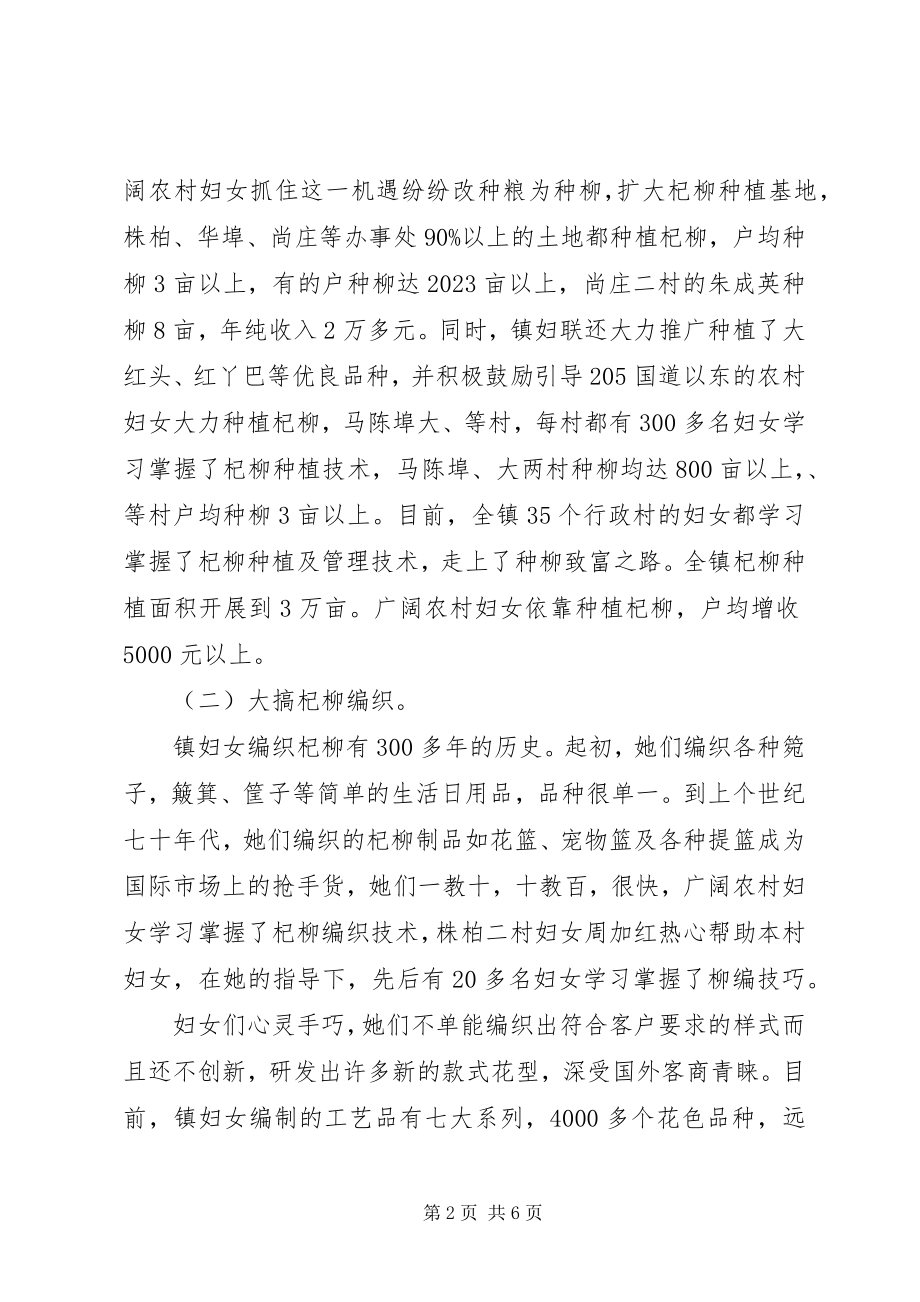 2023年妇联增收致富调查工作汇报.docx_第2页