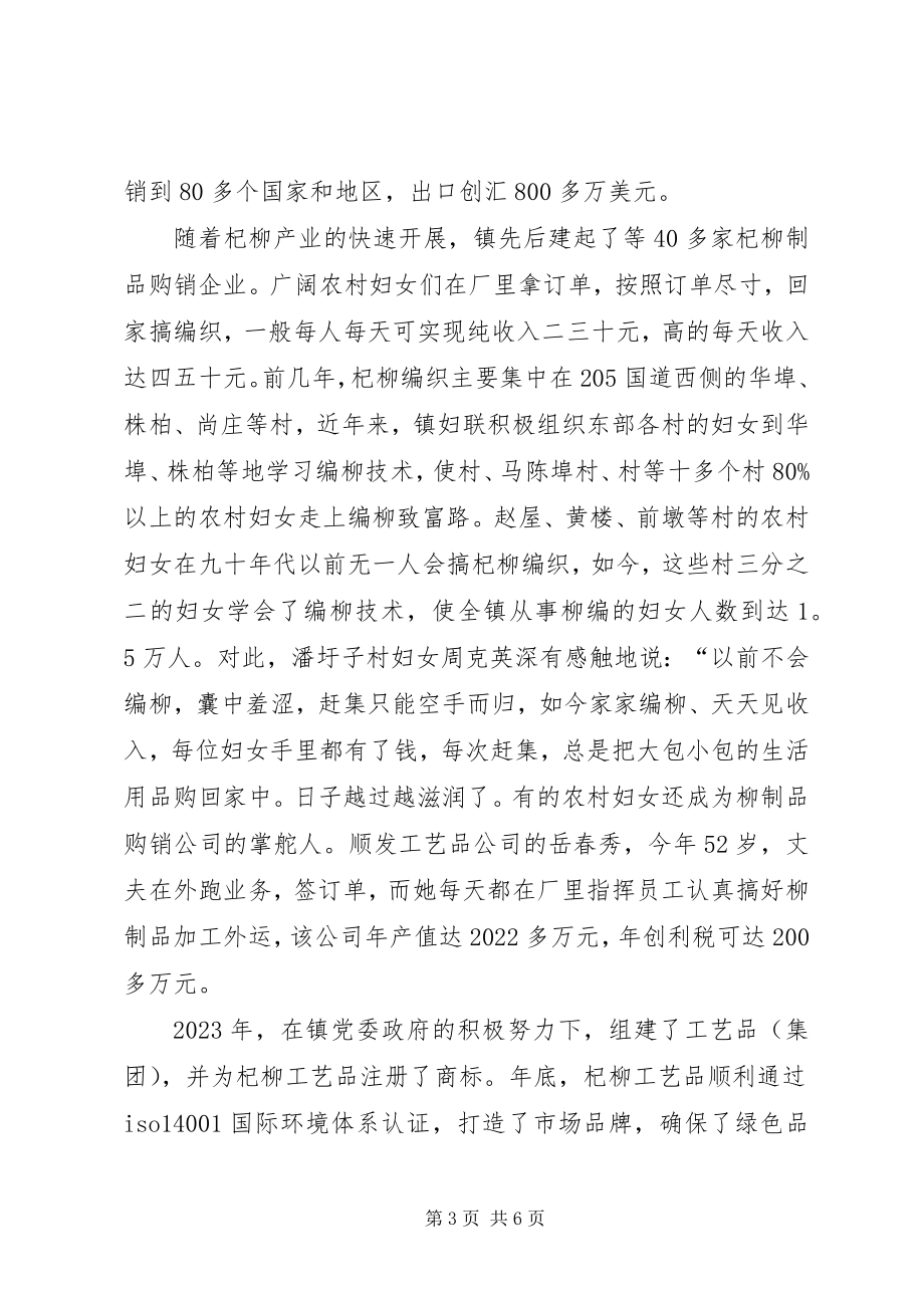 2023年妇联增收致富调查工作汇报.docx_第3页