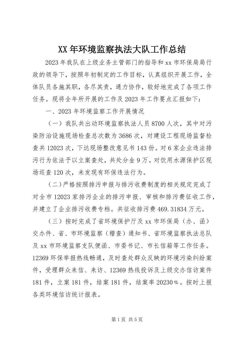 2023年环境监察执法大队工作总结.docx_第1页