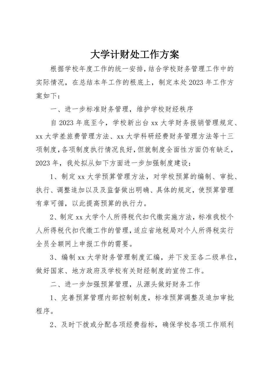 2023年大学计财处工作计划.docx_第1页