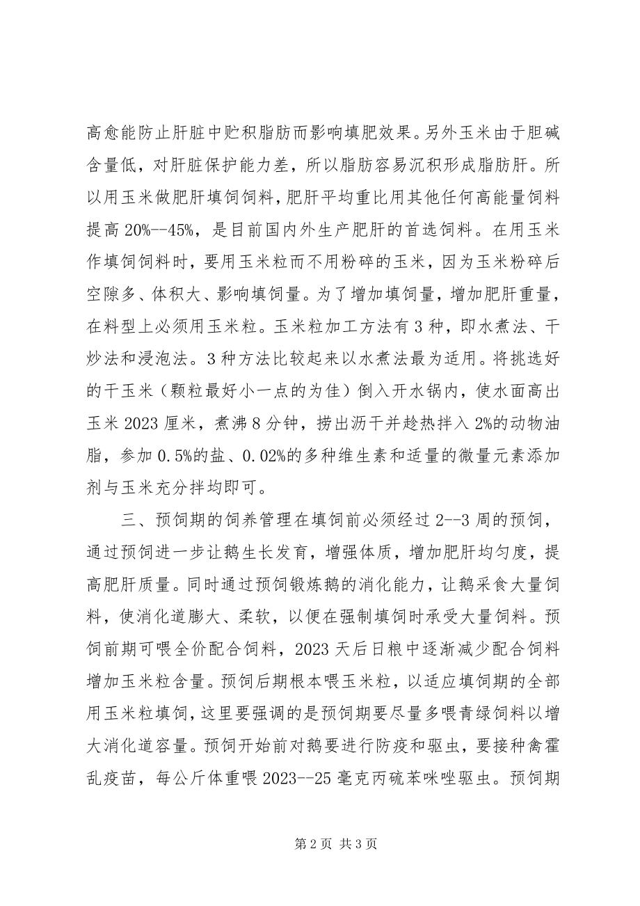 2023年生产的肥肝鹅的管理.docx_第2页