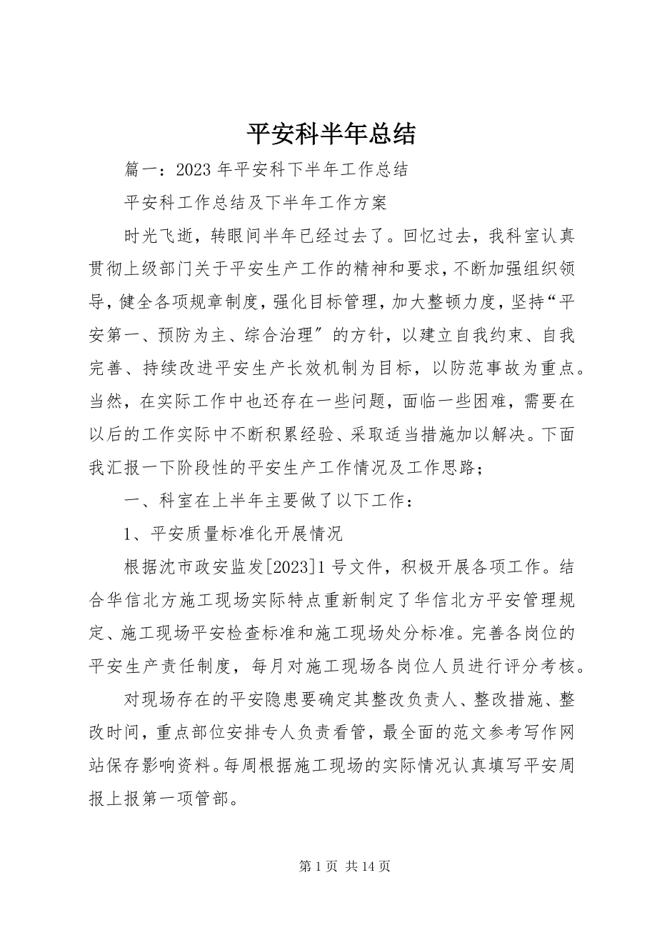 2023年安全科半年总结新编.docx_第1页