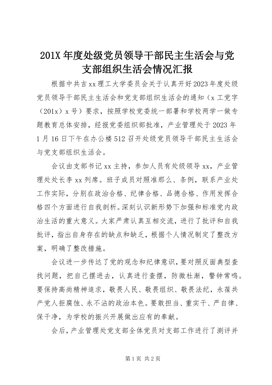 2023年度处级党员领导干部民主生活会与党支部组织生活会情况汇报新编.docx_第1页