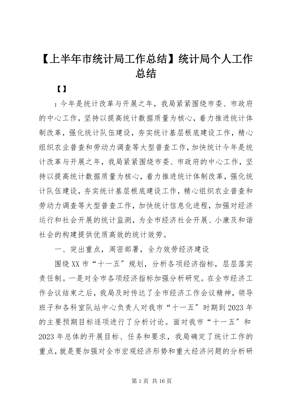 2023年上半年市统计局工作总结统计局个人工作总结.docx_第1页