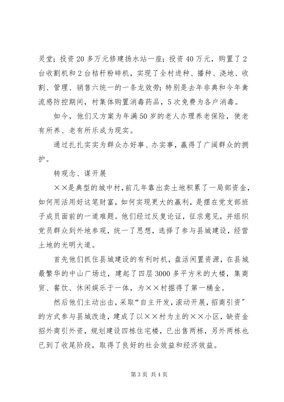 2023年XX镇XX村党支部的事迹材料.docx_第3页