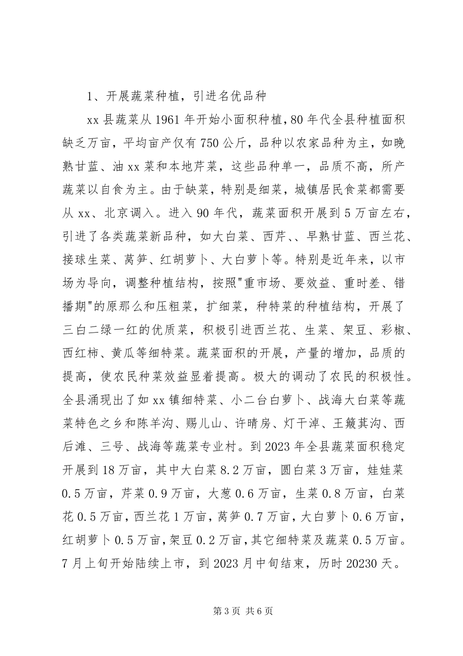 2023年蔬菜产业园建设工作总结.docx_第3页