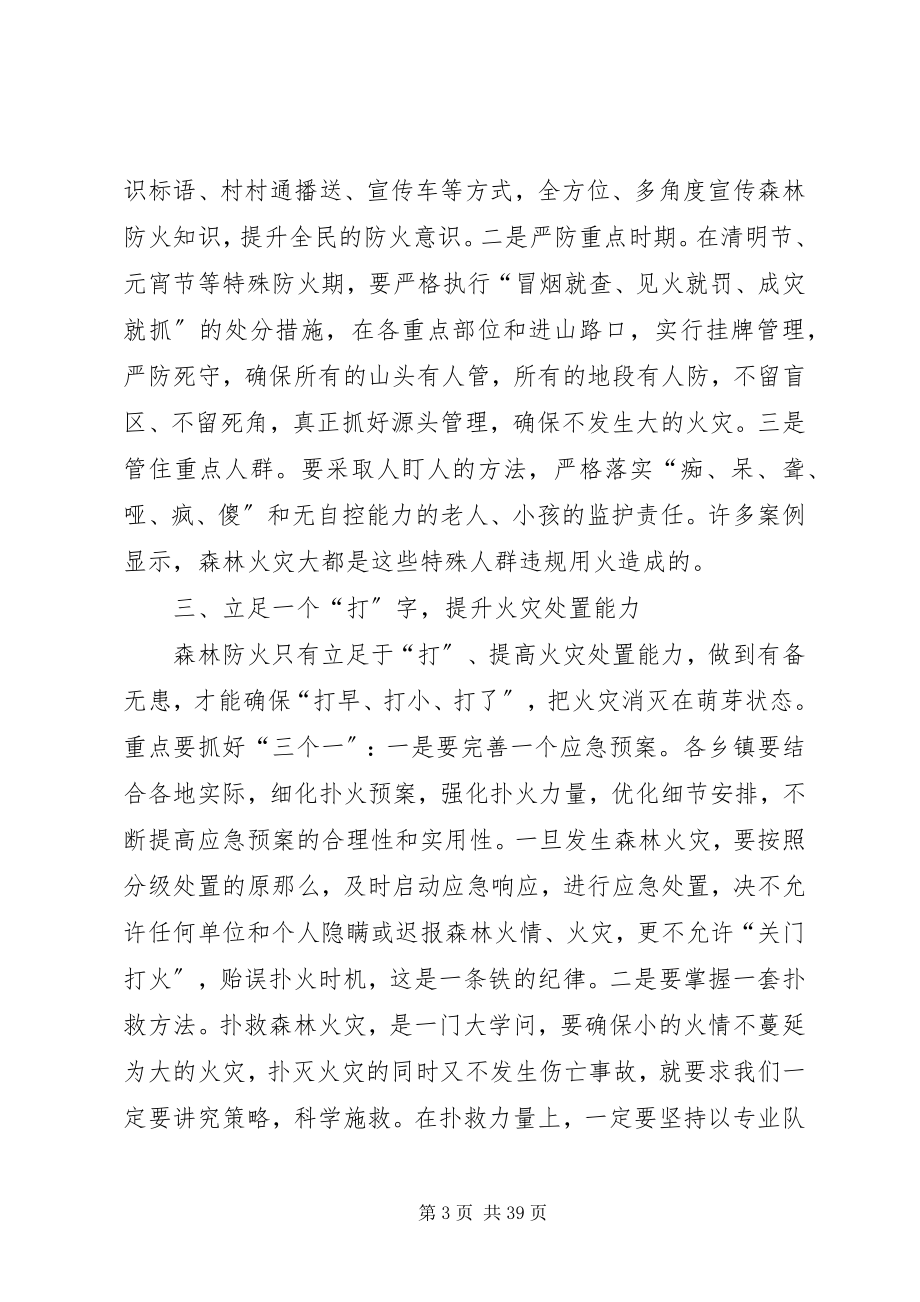 2023年全县森林防火工作会议致辞稿.docx_第3页