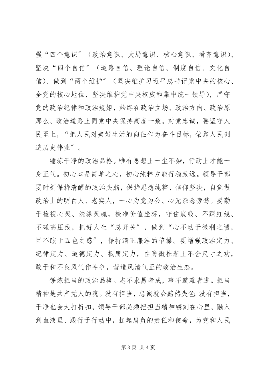 2023年树立忠诚干净担当的政治品格研讨讲话.docx_第3页