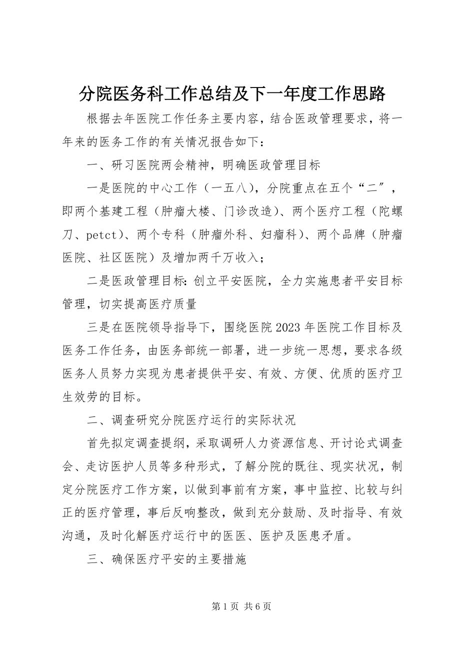 2023年分院医务科工作总结及下一年度工作思路.docx_第1页