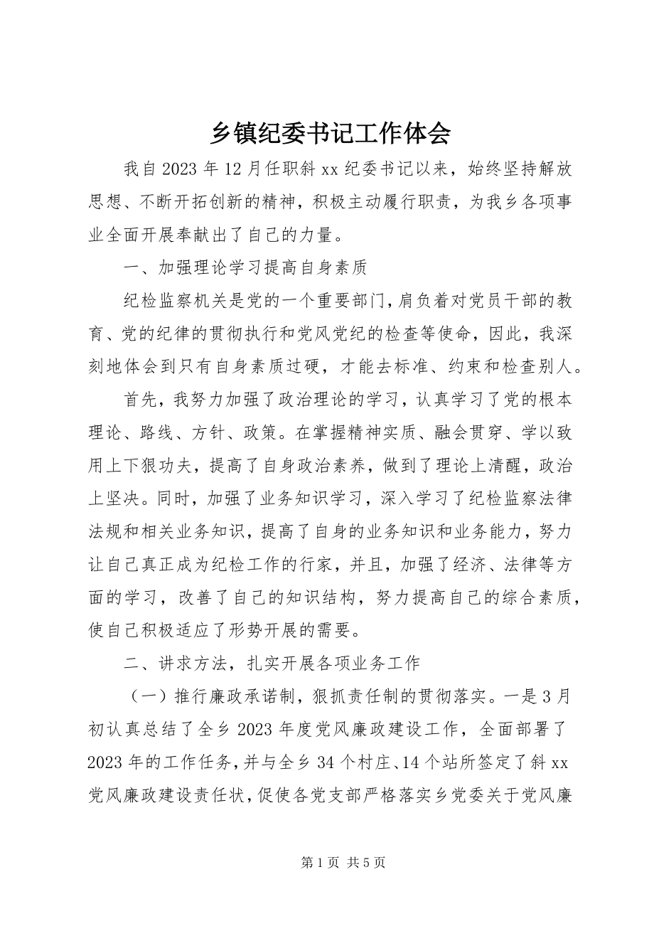 2023年乡镇纪委书记工作体会.docx_第1页