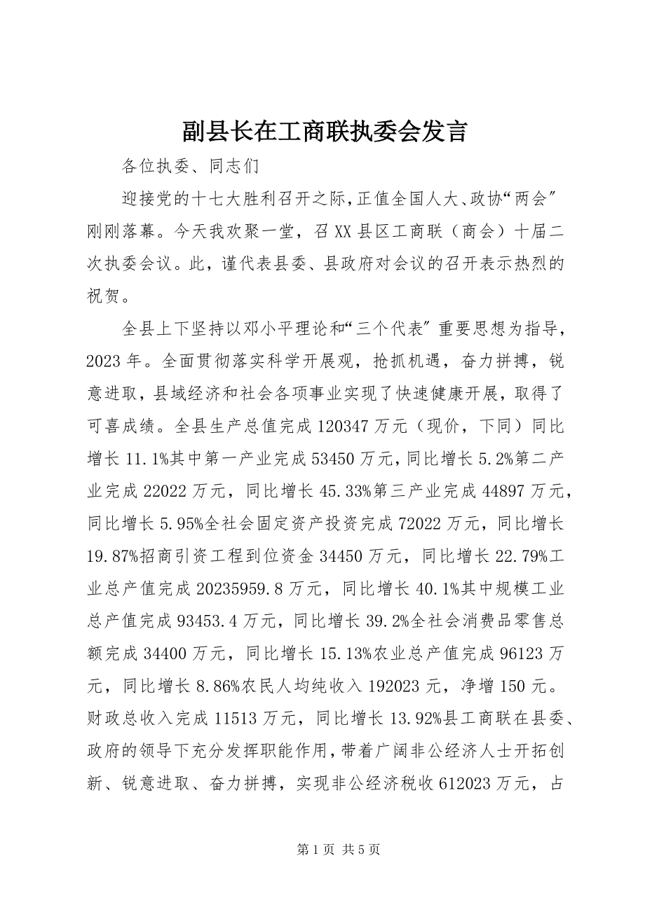 2023年副县长在工商联执委会讲话.docx_第1页