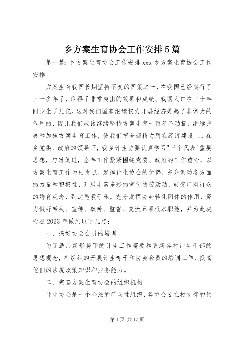 2023年乡计划生育协会工作安排5篇.docx_第1页