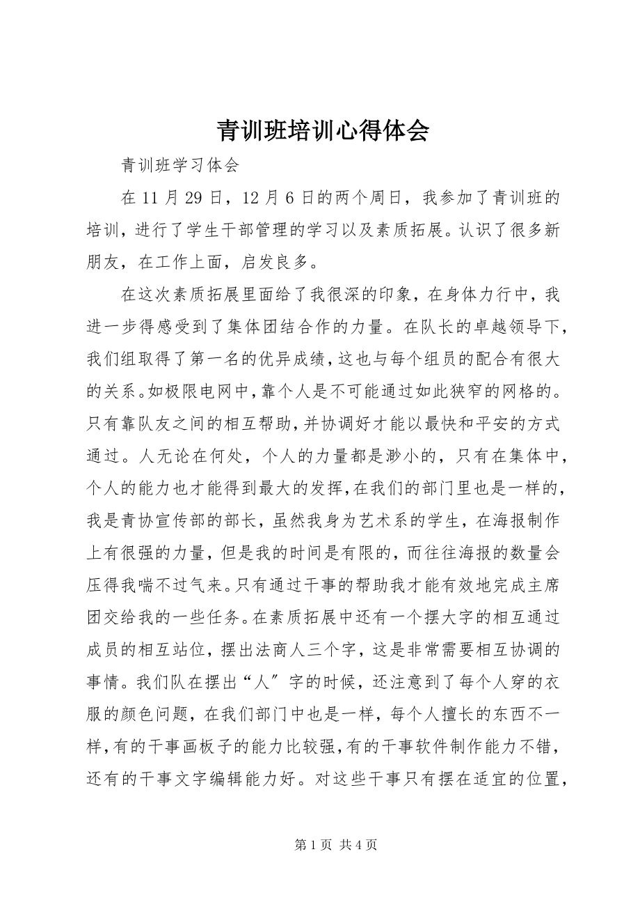 2023年青训班培训心得体会.docx_第1页