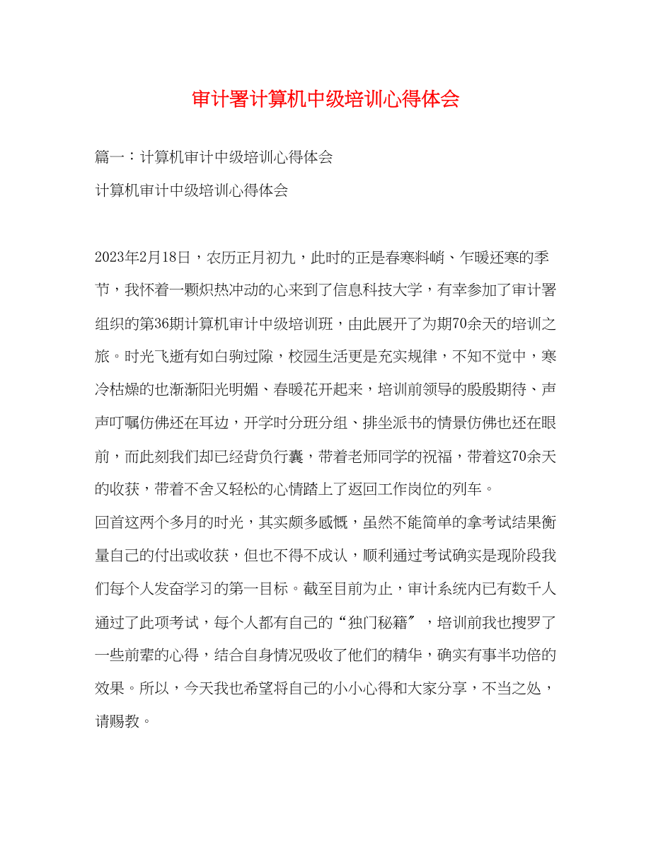 2023年审计署计算机中级培训心得体会.docx_第1页