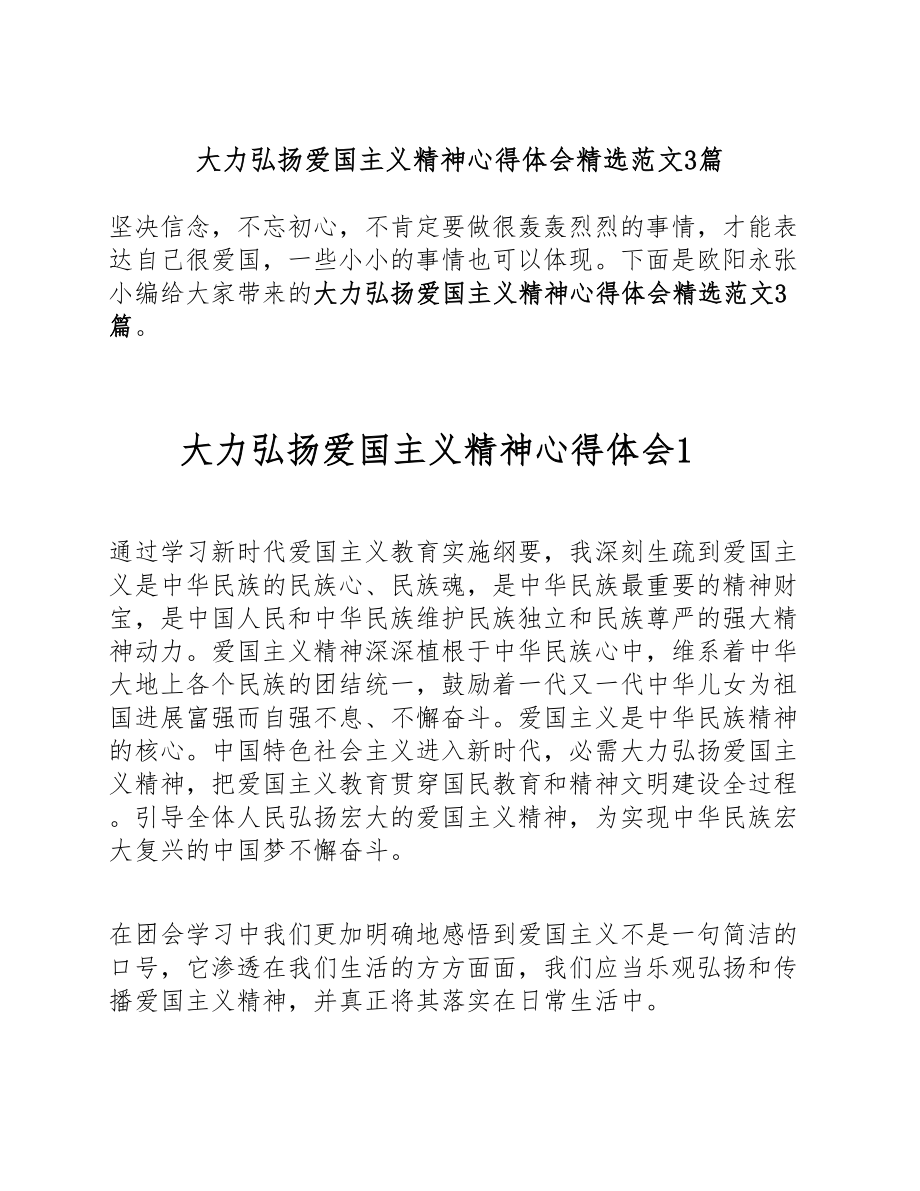 2023年大力弘扬爱国主义精神心得体会3篇.doc_第1页