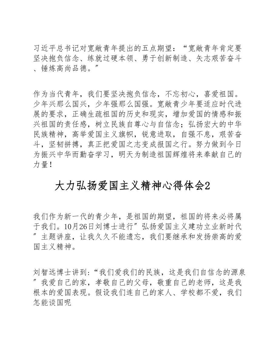 2023年大力弘扬爱国主义精神心得体会3篇.doc_第2页