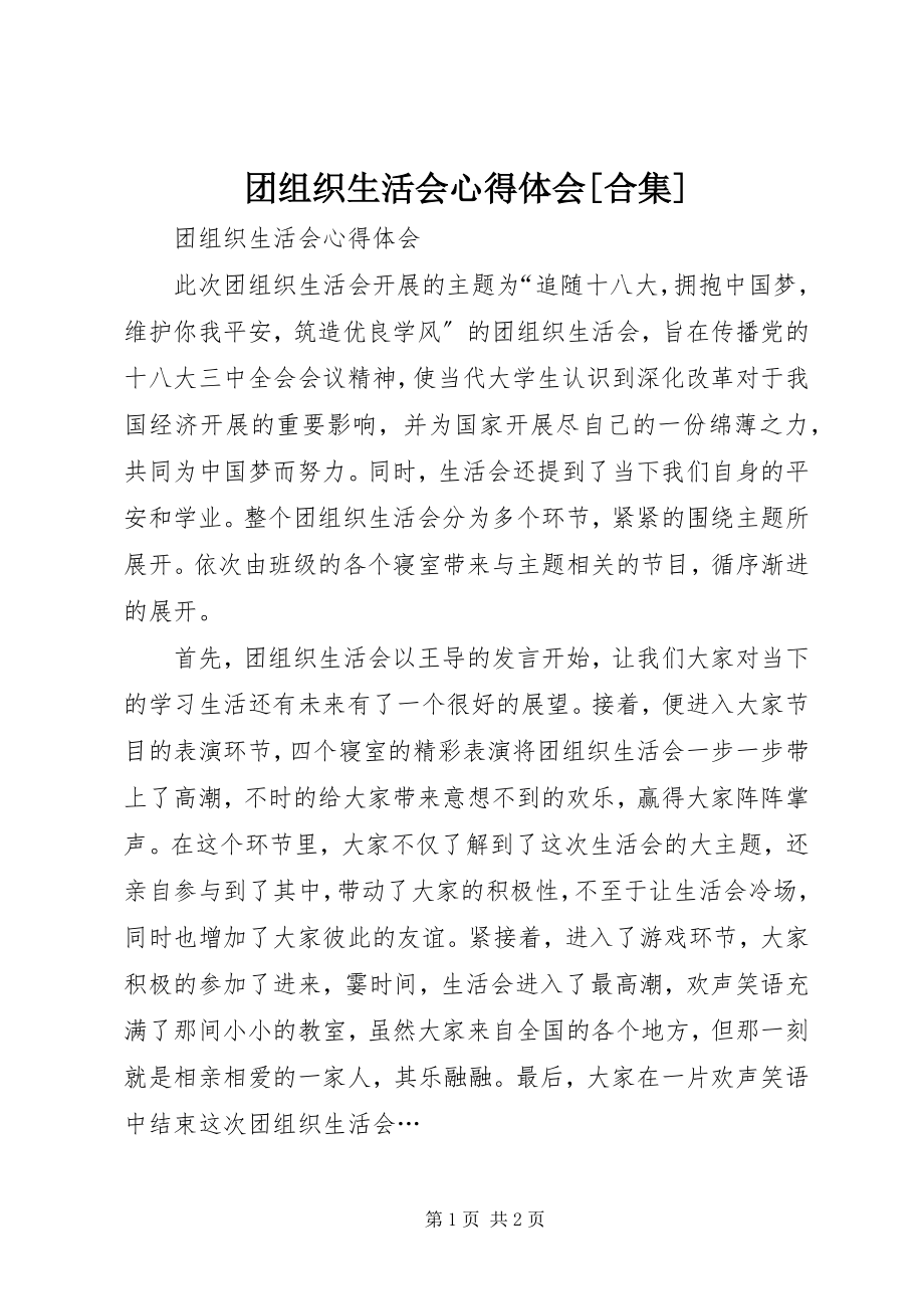 2023年团组织生活会心得体会合集.docx_第1页