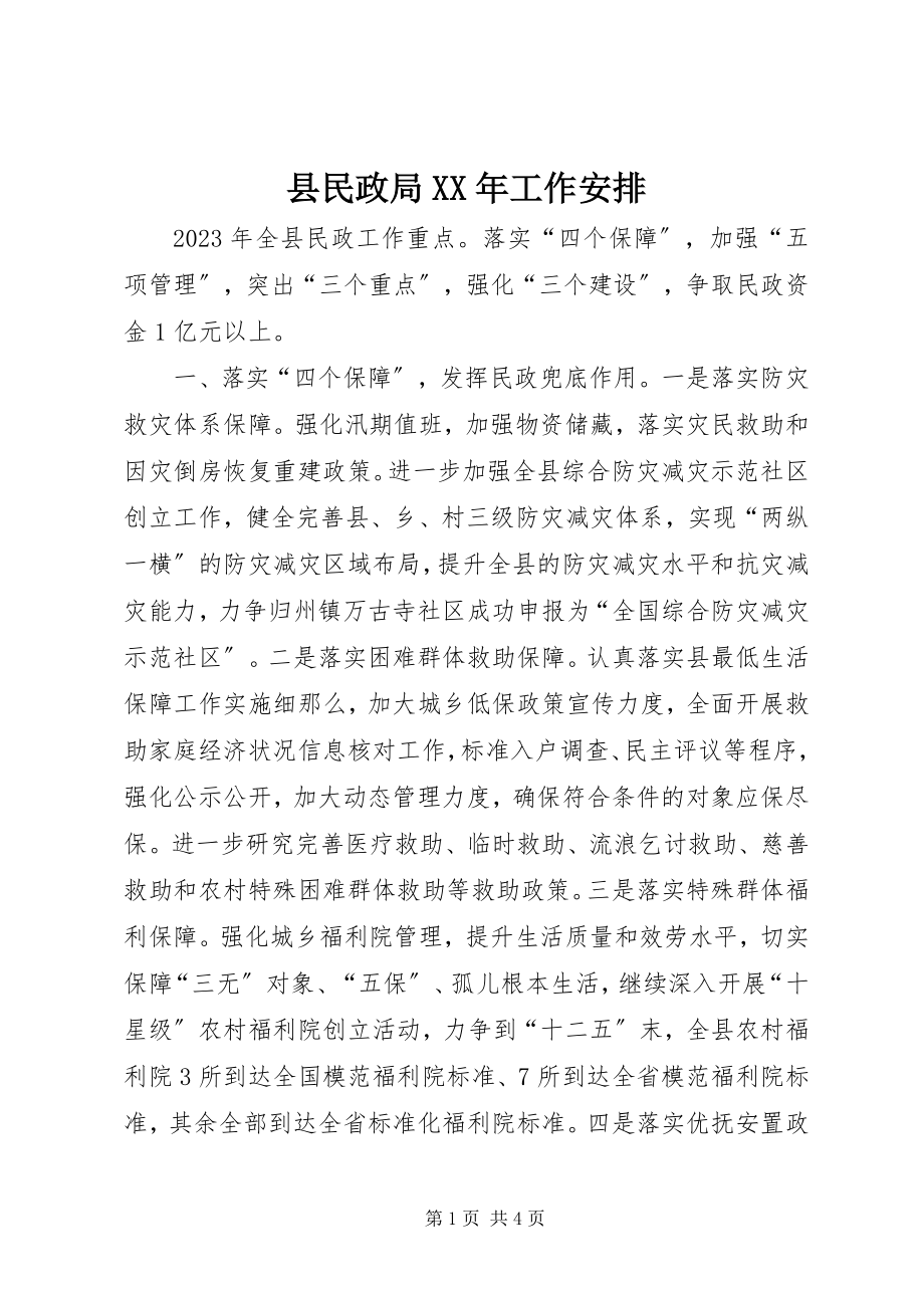 2023年县民政局工作安排.docx_第1页