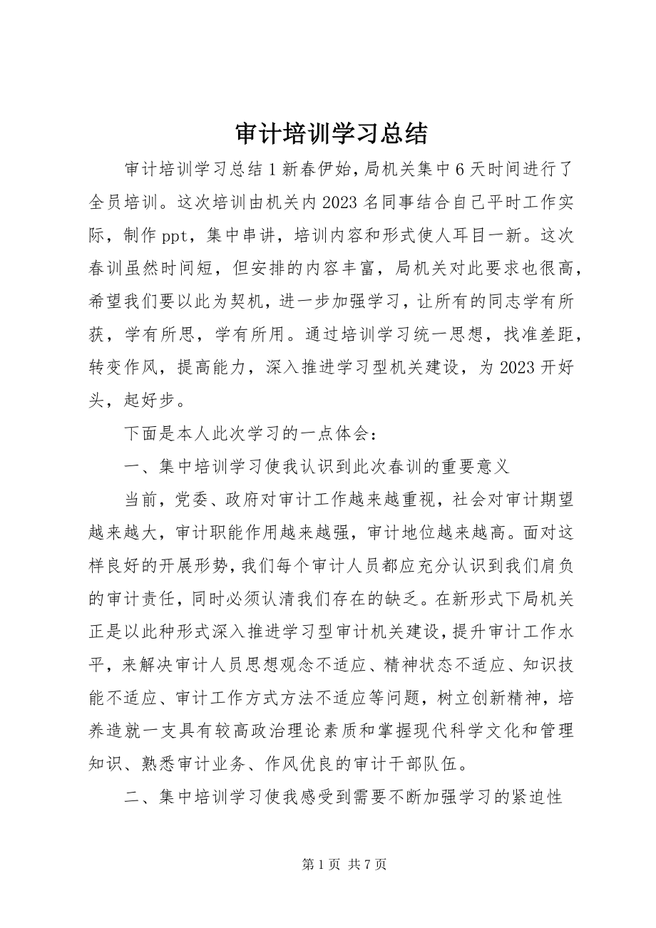 2023年审计培训学习总结.docx_第1页