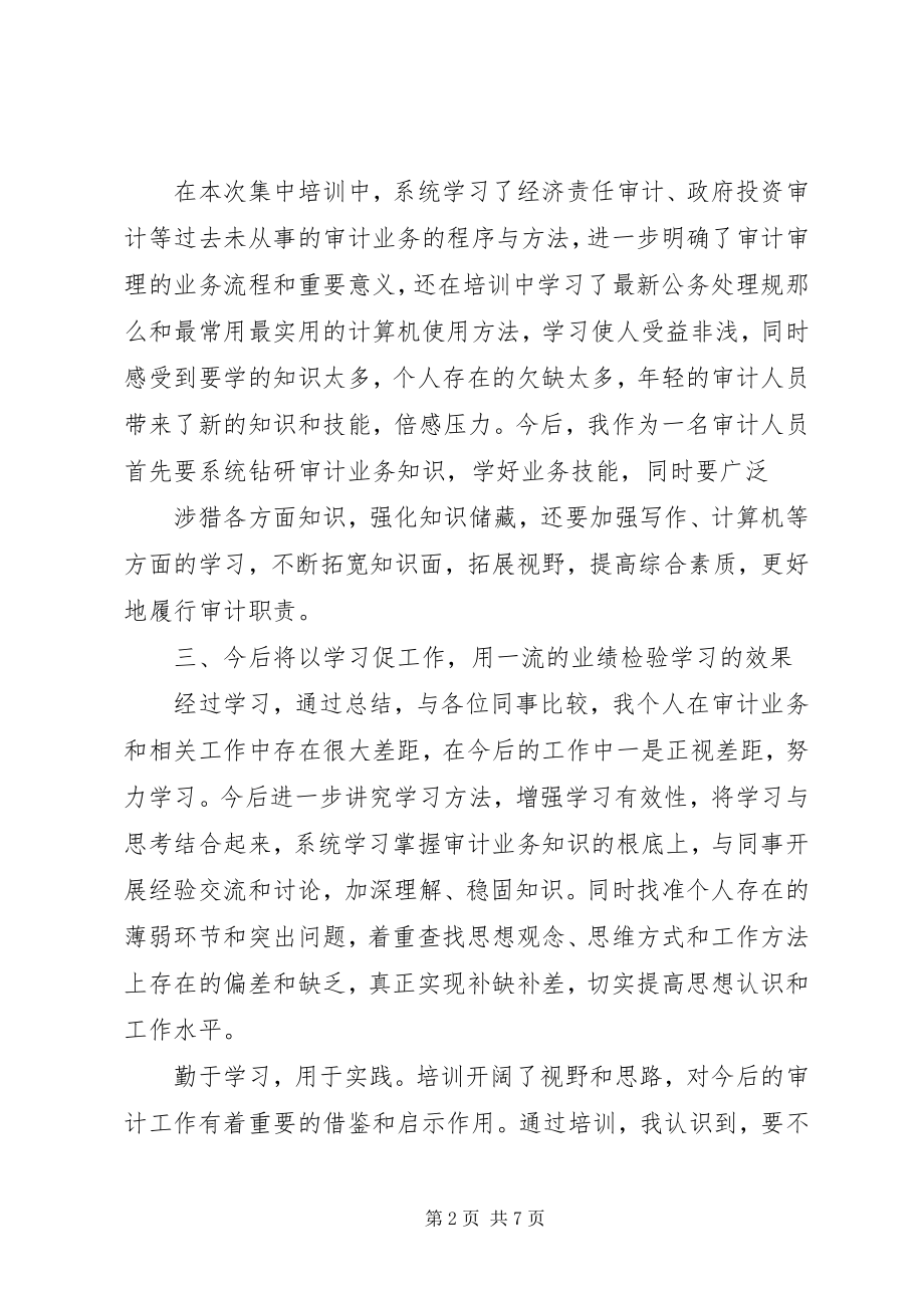 2023年审计培训学习总结.docx_第2页