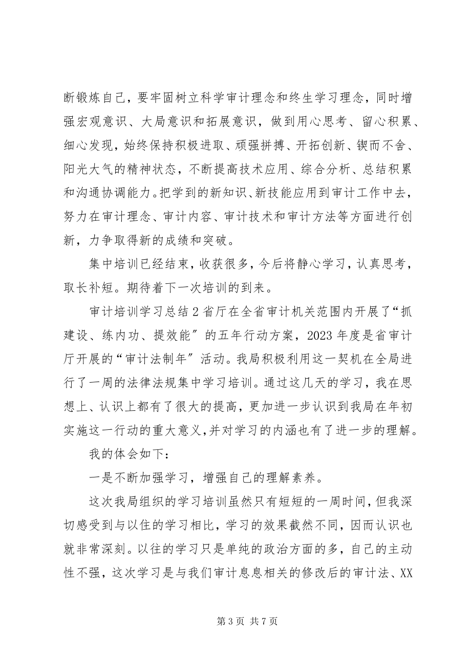 2023年审计培训学习总结.docx_第3页