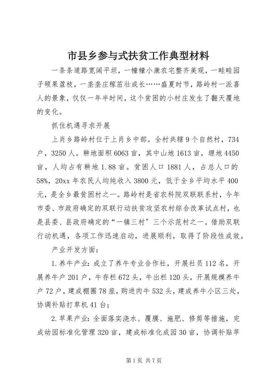 2023年市县乡参与式扶贫工作典型材料.docx_第1页