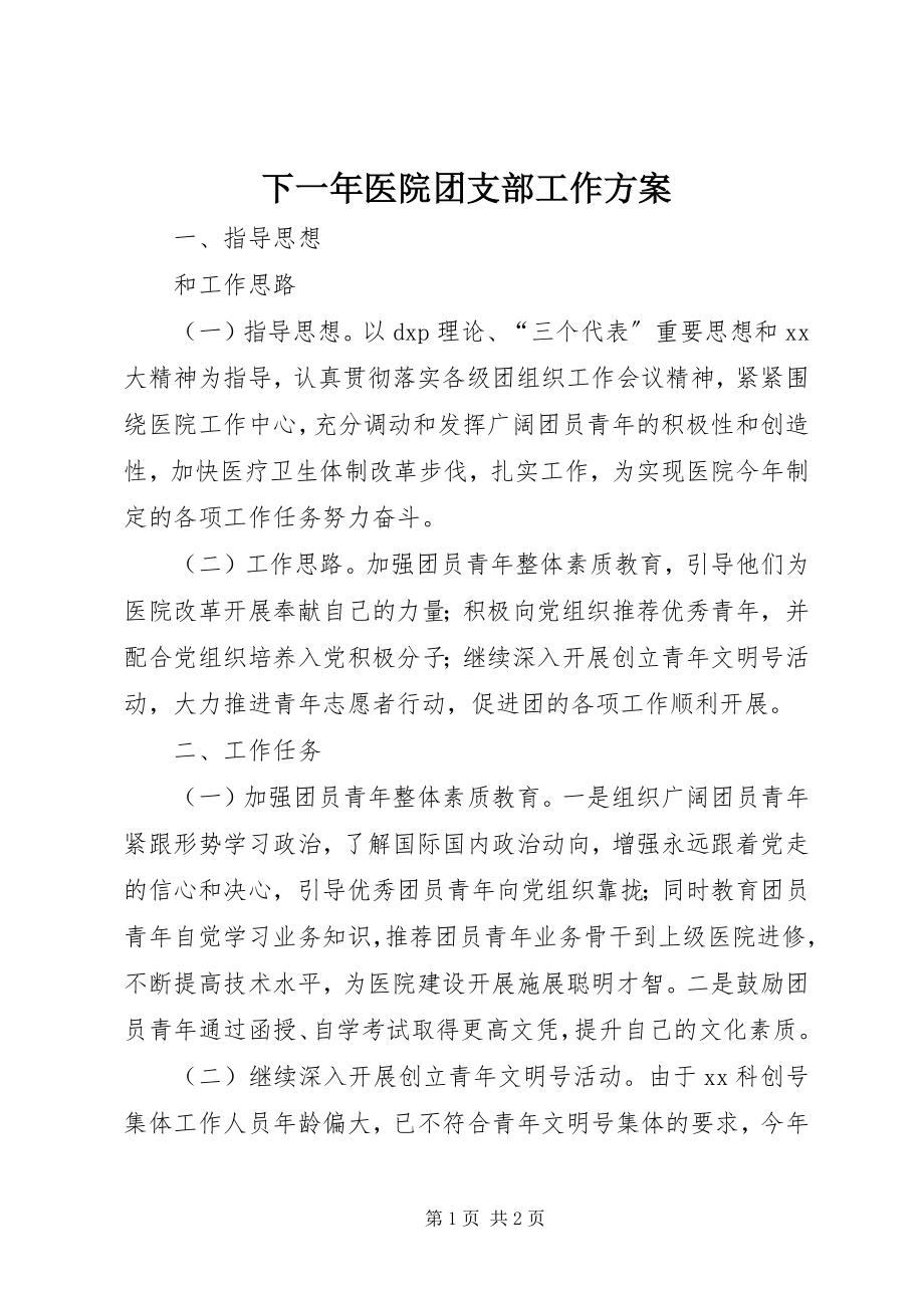 2023年下一年医院团支部工作计划.docx_第1页