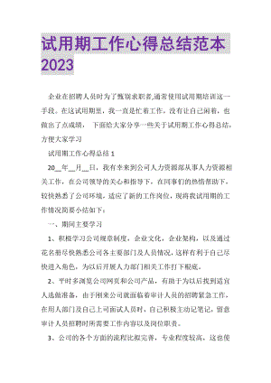 2023年试用期工作心得总结范本.doc