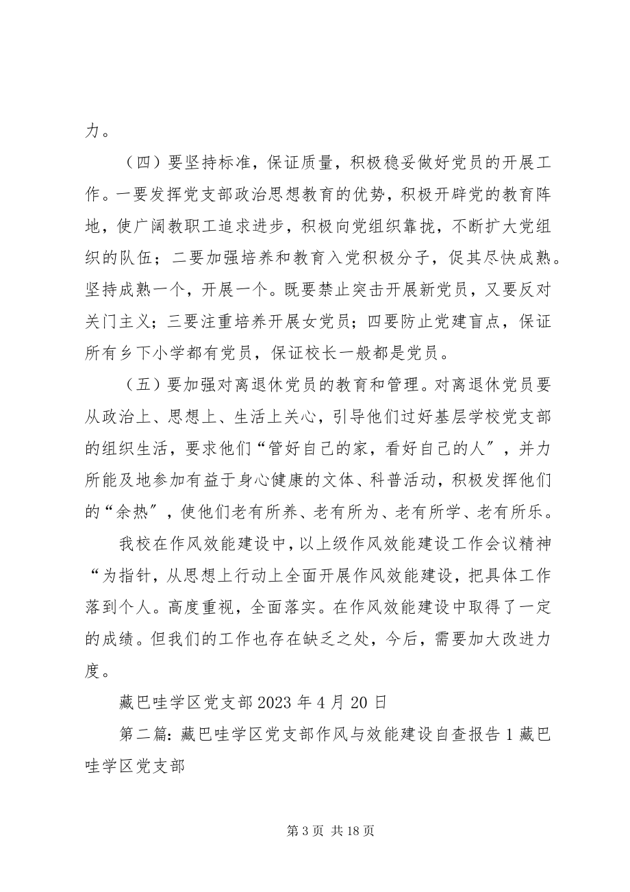 2023年藏巴哇学区党支部作风与效能建设整改方案.docx_第3页