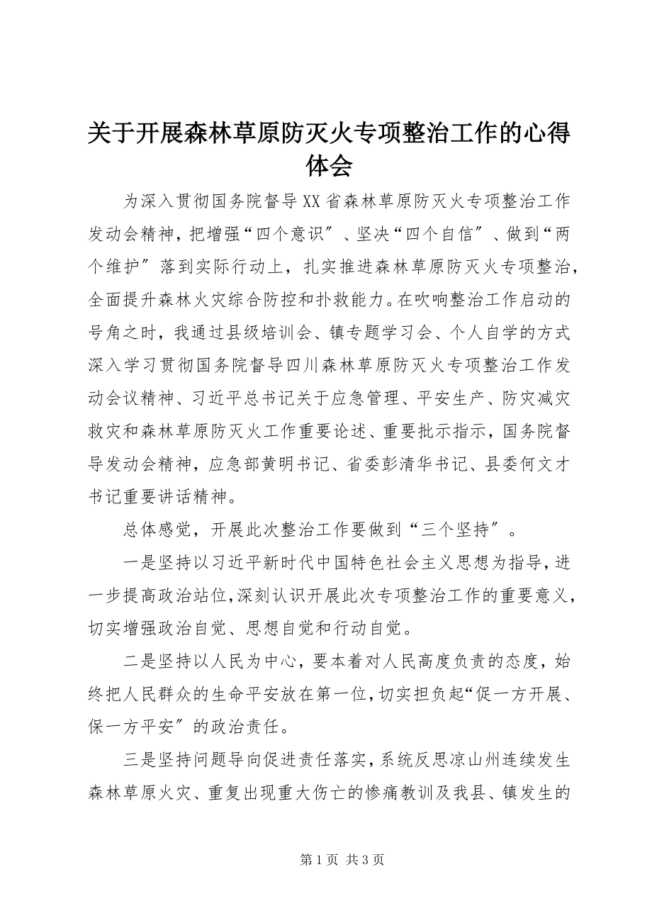 2023年开展森林草原防灭火专项整治工作的心得体会.docx_第1页